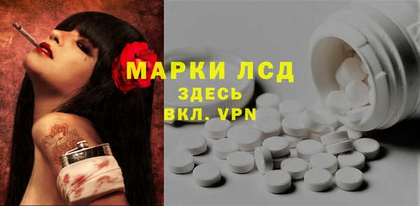 индика Волоколамск
