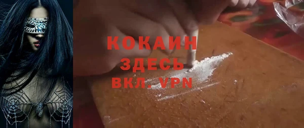 индика Волоколамск