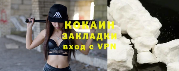 индика Волоколамск