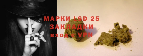 apvp Верея