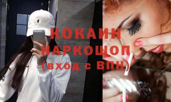 apvp Верея