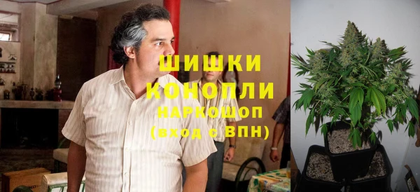 apvp Верея