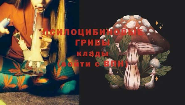 мяу мяу мука Верхний Тагил