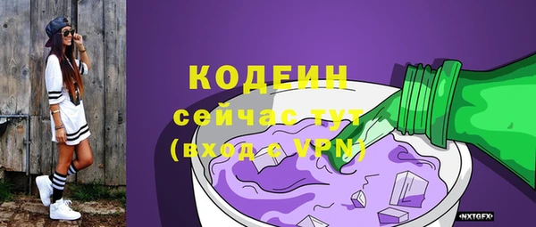 индика Волоколамск